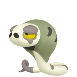 #843 Silicobra